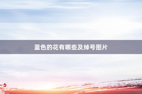 蓝色的花有哪些及绰号图片